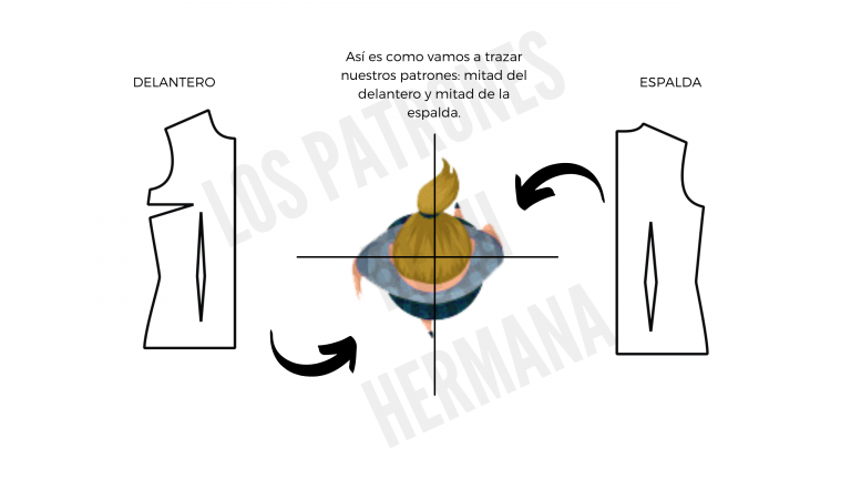 dibujo de un cuerpo visto desde arriba